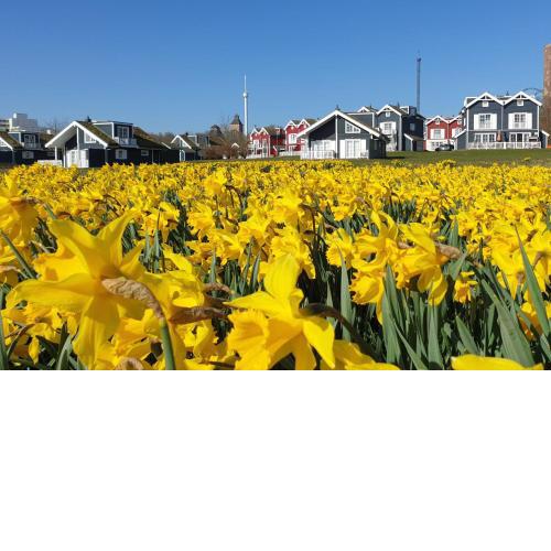 Iris' Strandhus Strandpark Sierksdorf