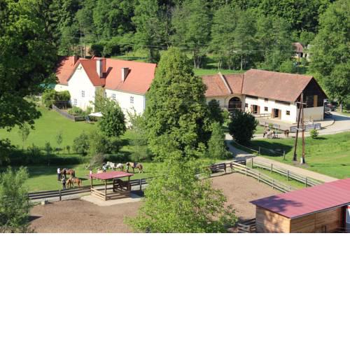 Islandpferde Wellinghof