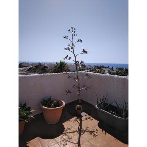 Isleta apartamento con terraza, vistas y WIFI