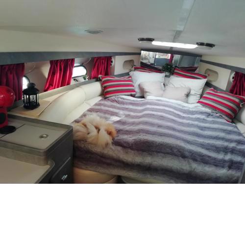 Jacht motorowy, Princess 266