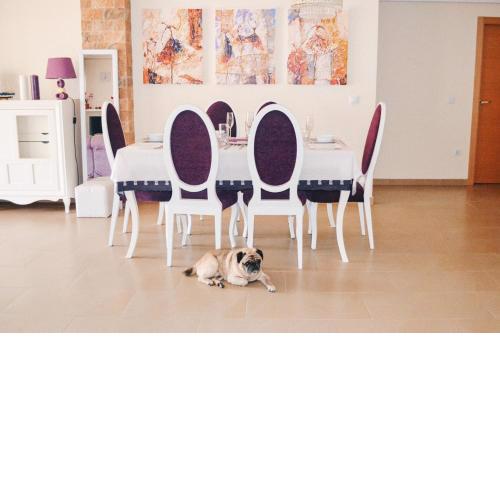 Jardines Superior Suite