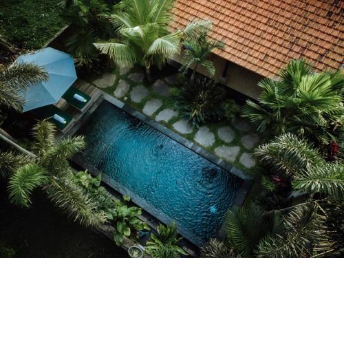 Jelita Villa