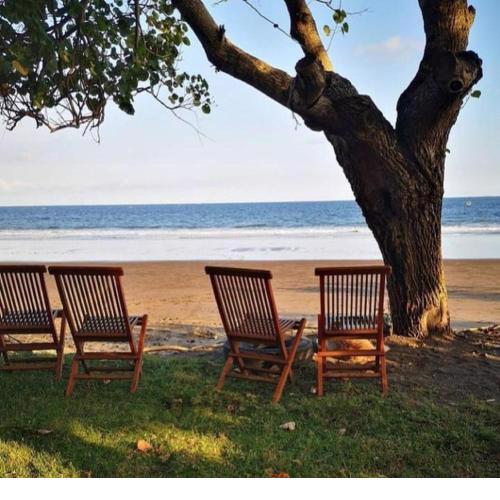 Jembrana Bali Homestay