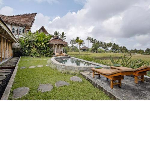 Joglo Organik Guesthouse