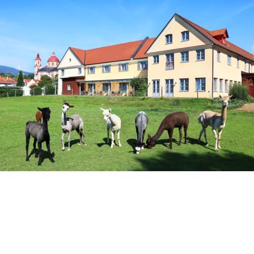 JUFA Hotel Pöllau