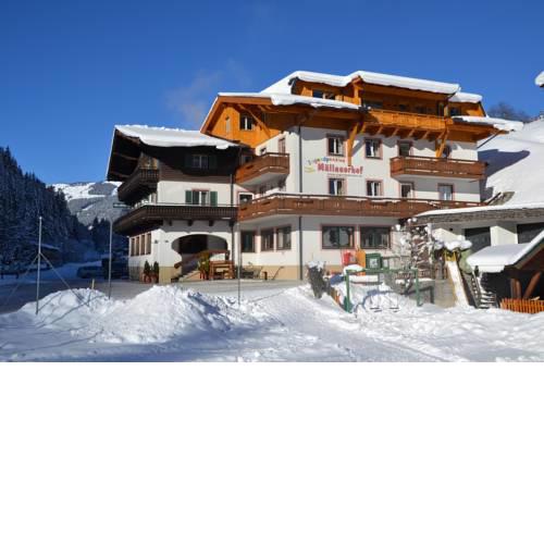 Jugendpension Müllauerhof