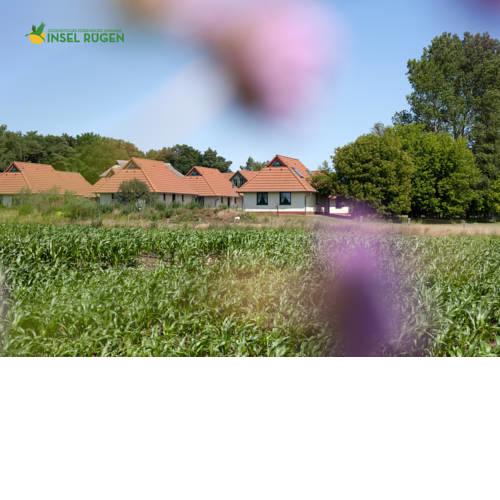 Jugendtours-Feriendorf Ummanz