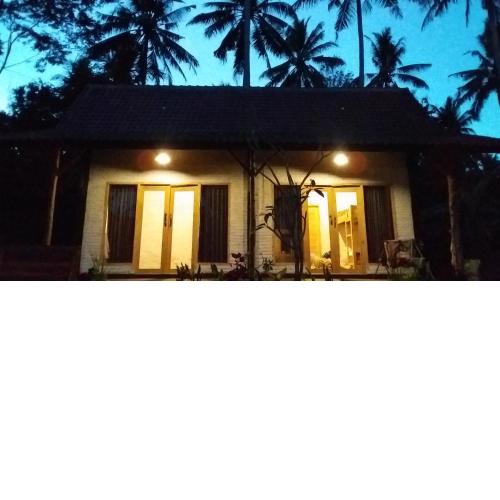 Jungle House - surf & stay