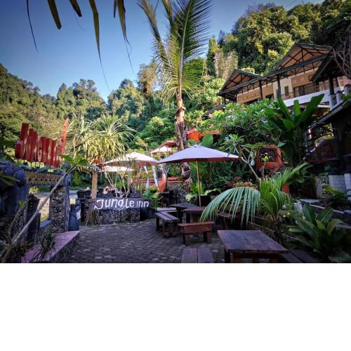 Jungle Inn Bukit lawang