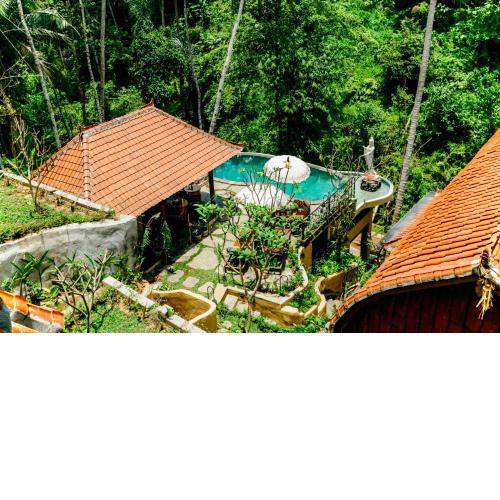 Jungle Lotus Villas