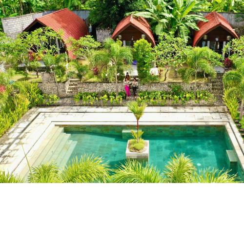 Jungle Paradise