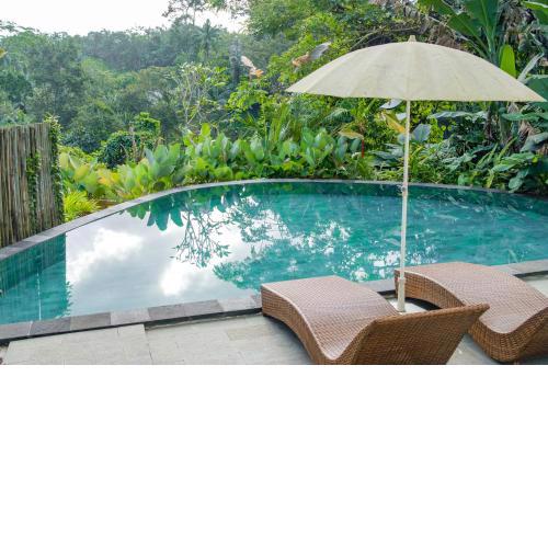 Jungle villa