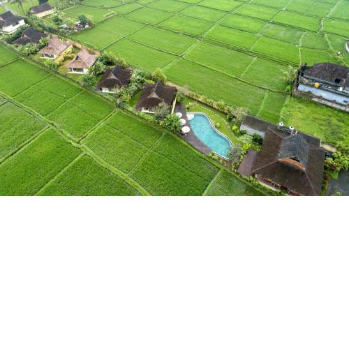 Kabinawa Ubud Villas by Pramana Villas