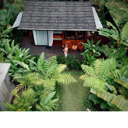 Kabinji Bali