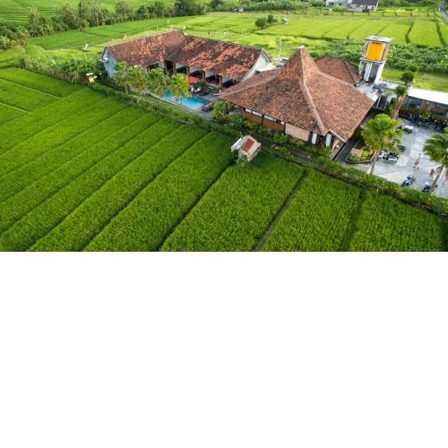 Kampung Canggu