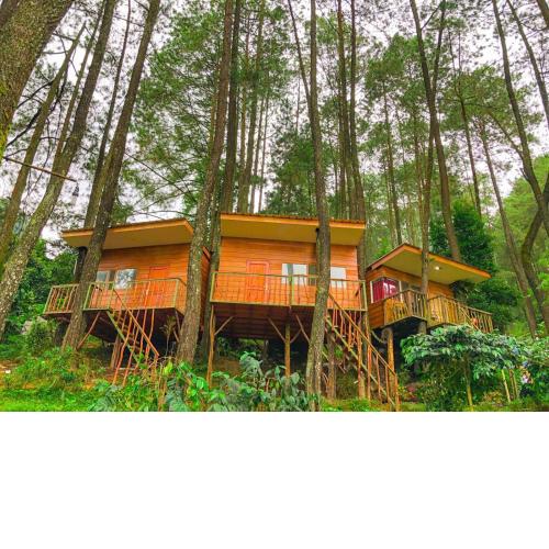 Kampung Rimba by Anrha