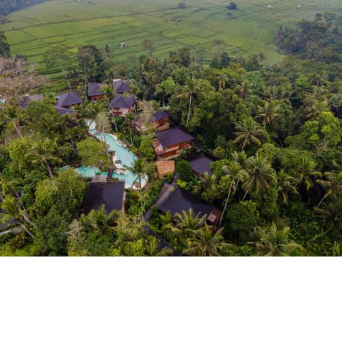 Kappa Senses Ubud