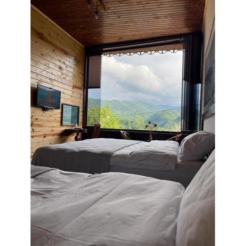 Karadeniz kus cenneti AYVADERE