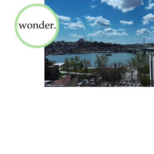 Karaköy - Luxury Duplex with sea view 8BR/4BA /AC