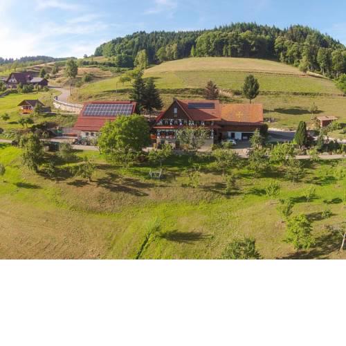 Kasimir Hof
