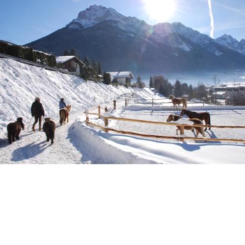 Kassnhof - der Reit- und Ponybauernhof