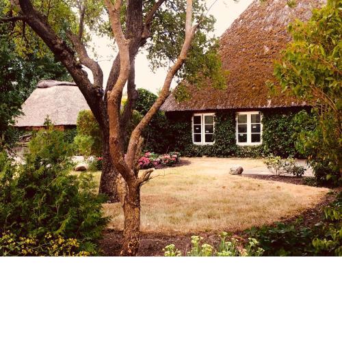 Kätchens Glück