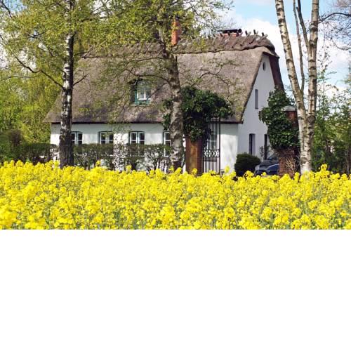 KatenGLÜCK