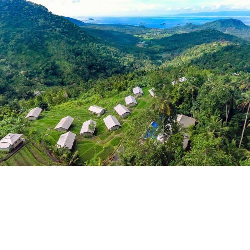 Kaura Bali