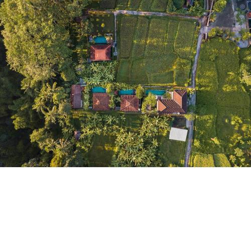 Kawan Antique Ubud Villa