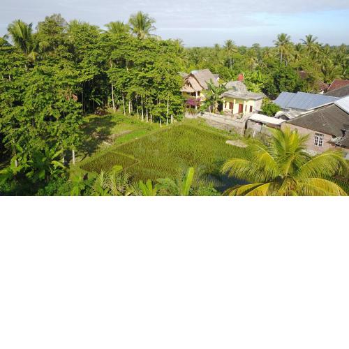 Kembang Kuning Cottages