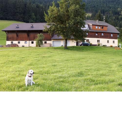 Kiblerhof