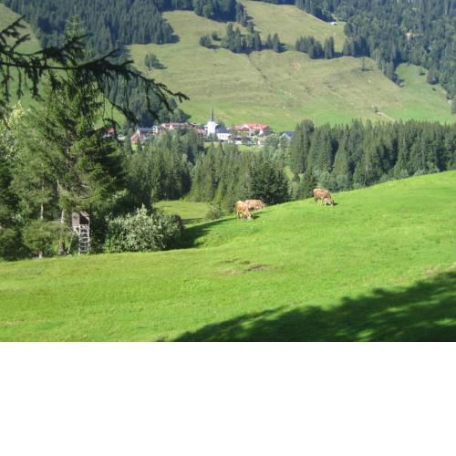 Kienle - das Kräuterhotel