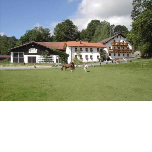 Kinderparadies Habernberger Hof