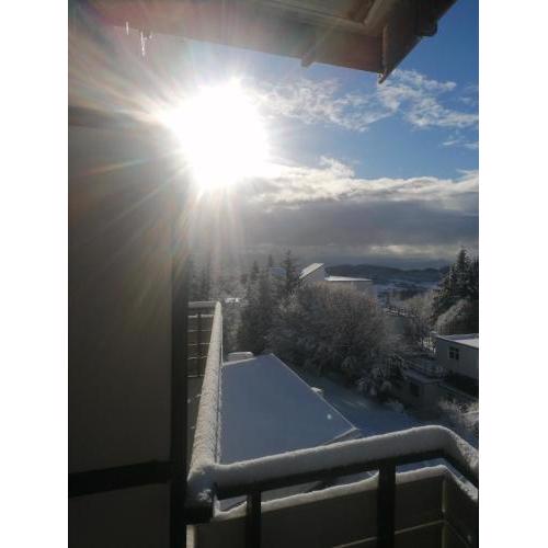 King apartament 1