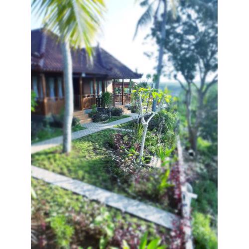 KKorok Hill Cottage