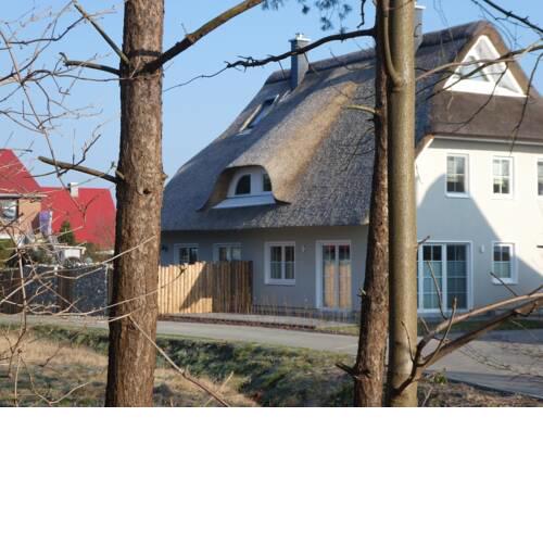 Kleine Seenixe - a49089