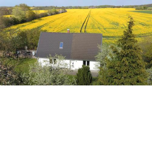 Kleines Haus am Feld