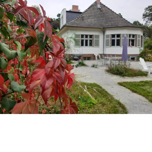 Kleines Landhaus am Wald Bad Saarow