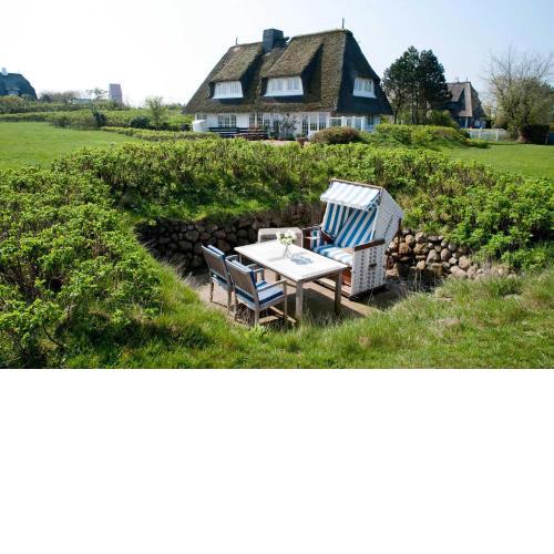 Kleines Nest (Wattküken)