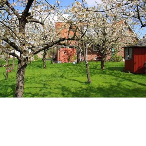 Knubberhaus - Das Ferienhaus im Kirschenhain