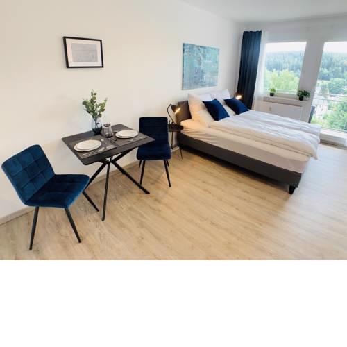 Komfortables Apartment in Bad Elster mit Netflix
