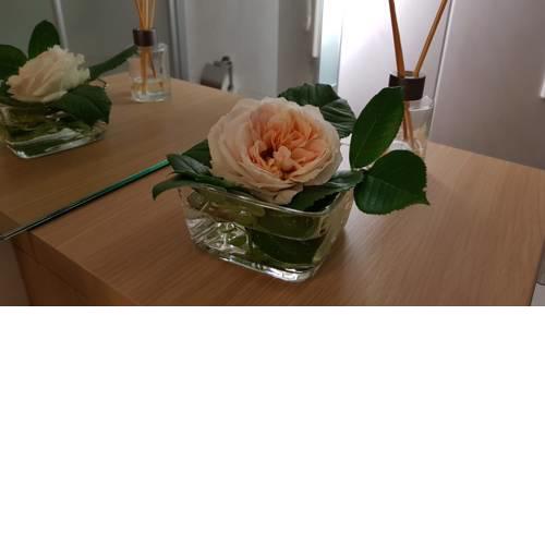 Komfortables Apartment mit Terrasse