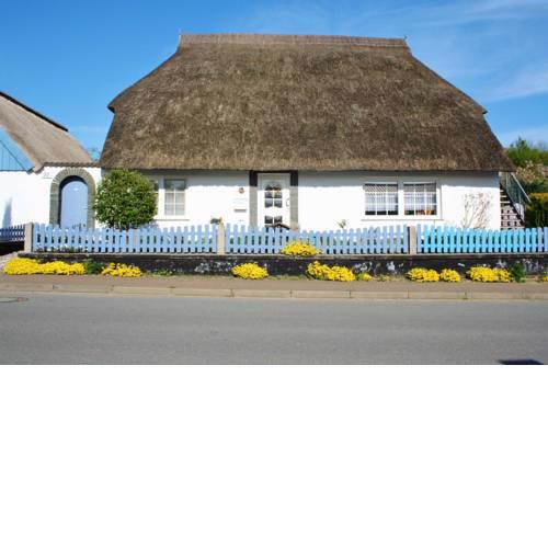 Komfortfewo Steuerrad