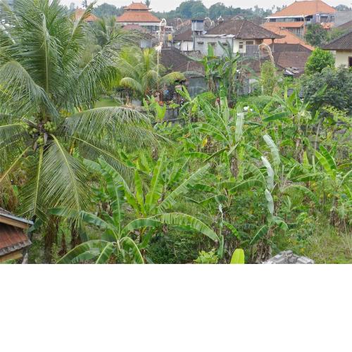 Kori Bali Inn I