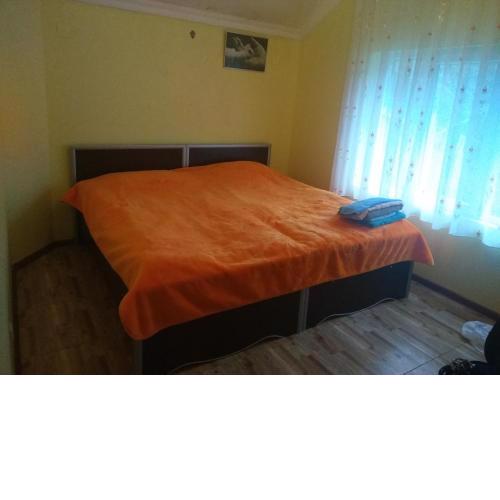 KPZ Homestay Guest House Dormitory Sleeping Rooms