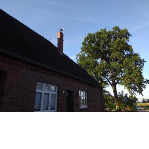 Krötenhof Barförde