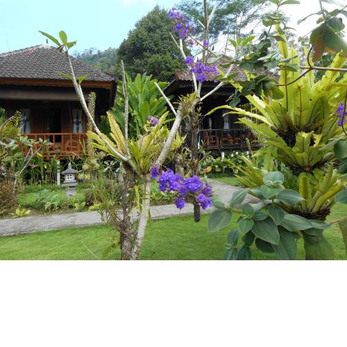 Kubu Alas Tunggal Villa