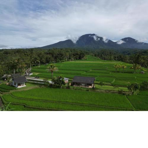 KUBU D'UME HOMESTAY