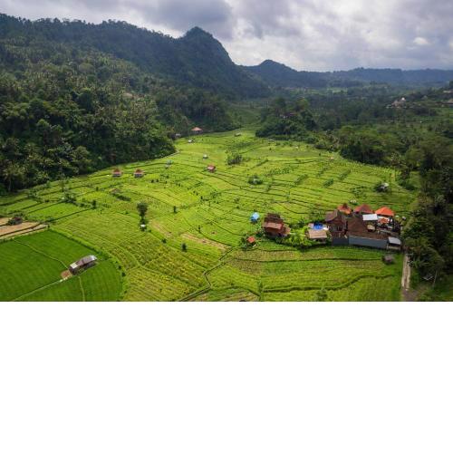 Kubu Sakian Villa