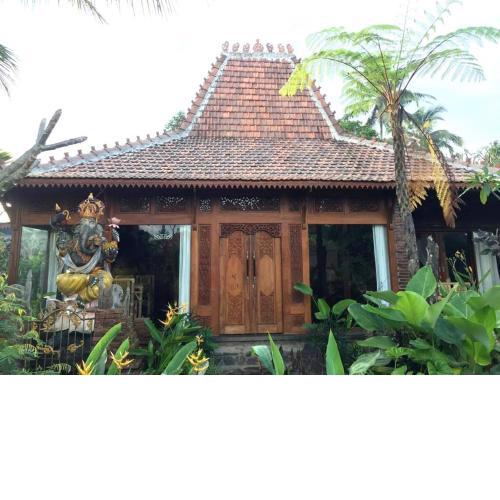 Kupu-kupu